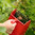Berry Picker - Small - for Quick & Easy Fruit Picking, Harvesting
