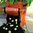 1 Potato Planting Bag, Vegetable Planter, Orange Grow Bag, Tub, Patio Planter