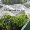 Woven Insect Netting Garden Veg Crop Protection Mesh - by the metre