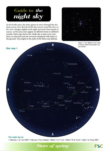 Laminated Field Guide the NIGHT SKY