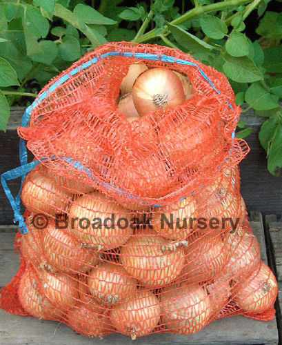 5 Onion Nets Small, Easy Carry (5kg Vegetable Storage Sacks)