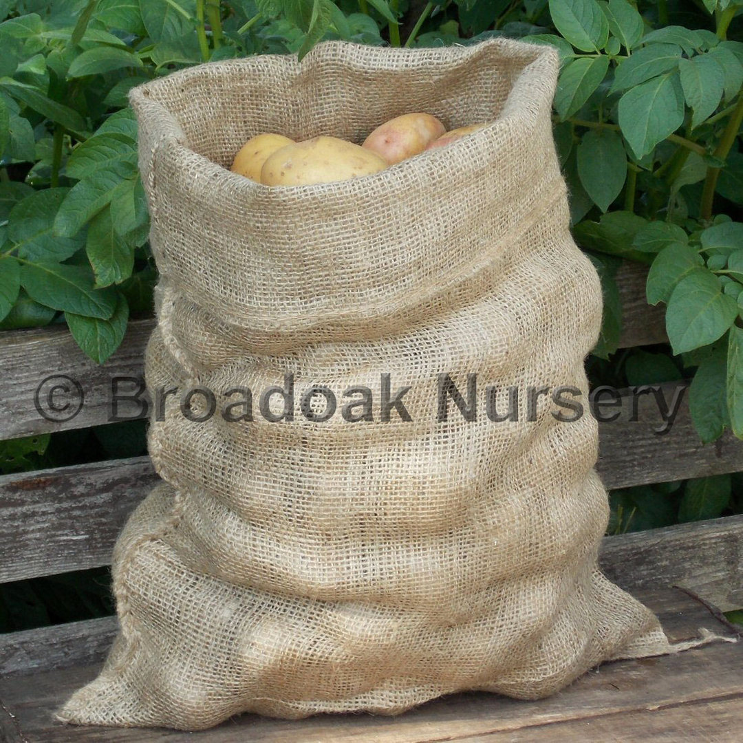 Burlap Bag for Storing Potatoes Inscription i Have the  Etsy Singapore