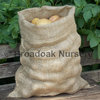 Jute Hessian Sack HALF SIZE (10-15kg Potato Storage Sack)