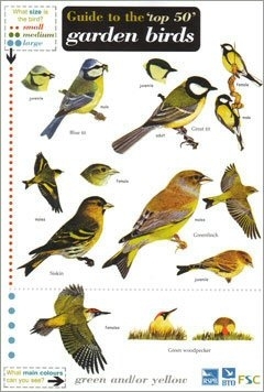 Laminated Field Guide - Top 50 British Garden Birds