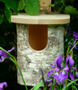 Natural Silver Birch Log Nest Box For Robins - Hardwood