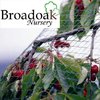 Fruit Netting Heavy Duty by the Metre (Bird, Crop, Pond Protection)