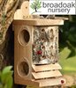 LADYBIRD & LACEWING LOG -Beneficial Insect Habitat Nest
