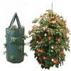 1 Strong Hanging Growbag, Tomato, Flower, Herb, Strawberry Planter