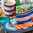 Seafarer Melamine Tableware - Party, Picnic, Camping, Dinnerware Set