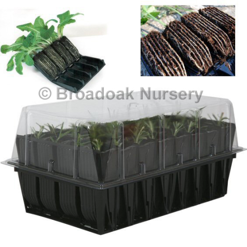 Rootrainers Propagator System - Deep - Seed Tray, Lid & Inserts
