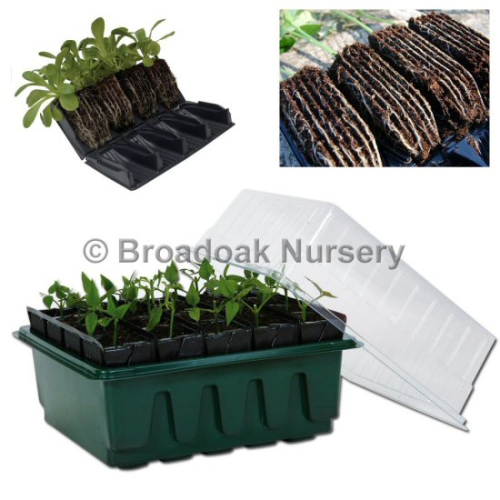 Rootrainers Propagator System, Compact Rapid - Seed Tray, Lid, Inserts