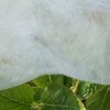 Horticultural Fleece 12m x 1.5m Garden Plant Frost Protection
