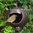 Robin Teapot Nester - Ceramic Nest Box for Garden Birds