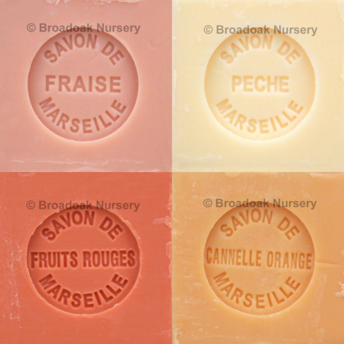 Savon de Marseille Fruity Fragrances - Set of 4 x 100g Soap Cubes