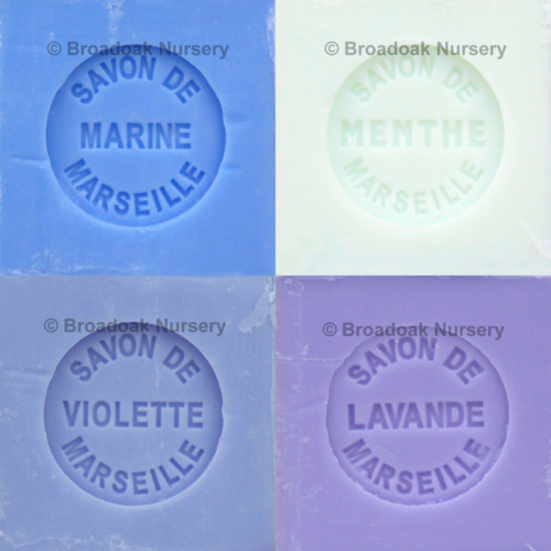 Savon de Marseille Blue Collection - Set of 4 x 100g Soap Cubes