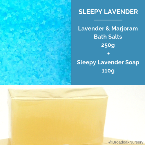 Sleepy Lavender Handmade Soap + Lavender & Marjoram Bath Salts