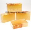 Natural Organic Handmade Soap with Essential Oils