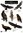 Laminated Field Guide BIRDS OF PREY