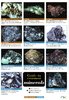 Laminated Field Guide MINERALS
