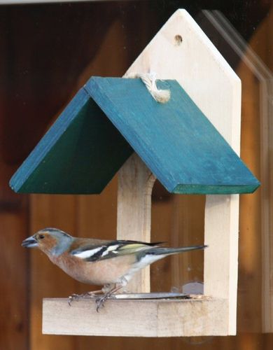 Blue Wooden Window Feeder for Garden Birds