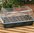 Large Dome Propagator, Full Size Seed Tray & Vented Lid