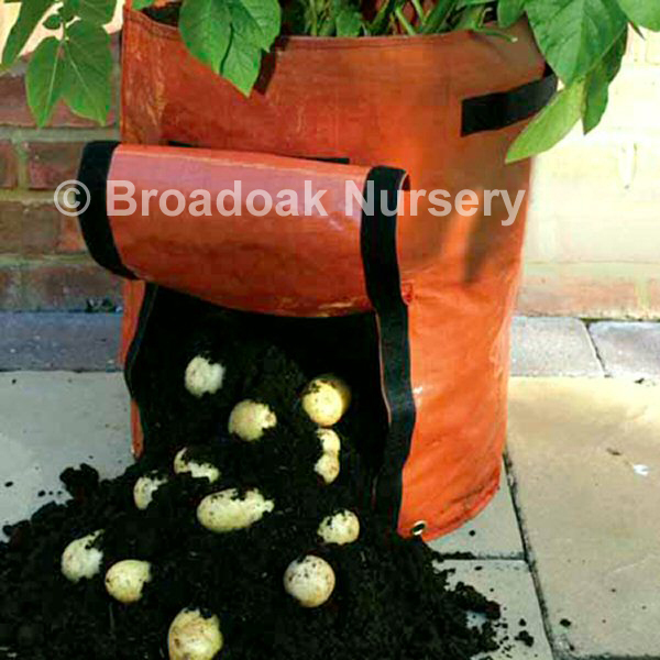Potato_Planting_Bag_Orange