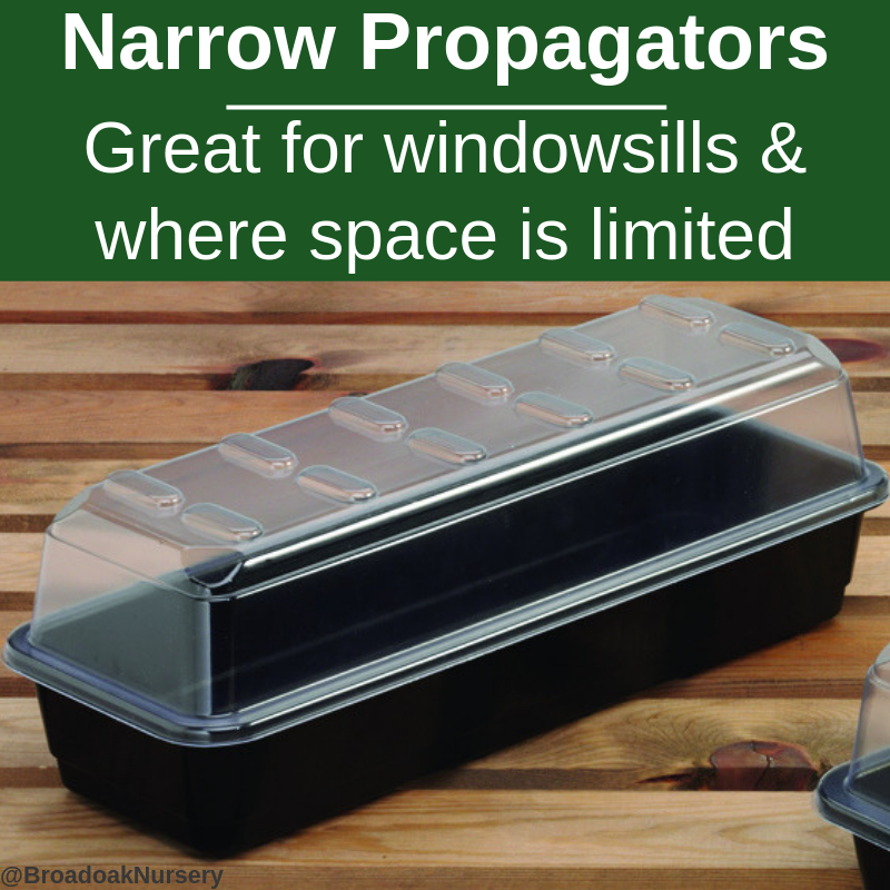 Narrow_propagators